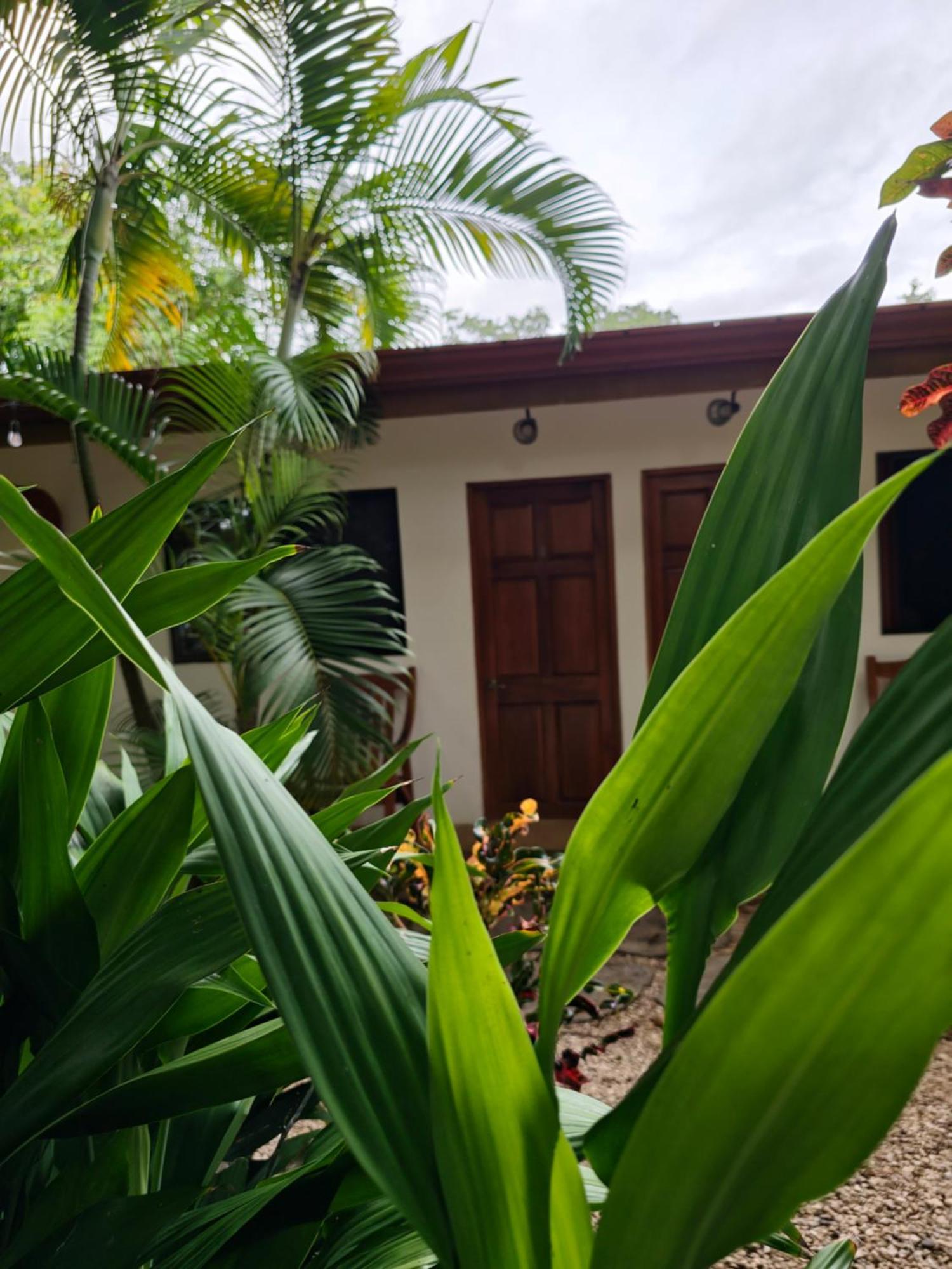Buddha Retreat Hotel San Juanillo Exterior foto
