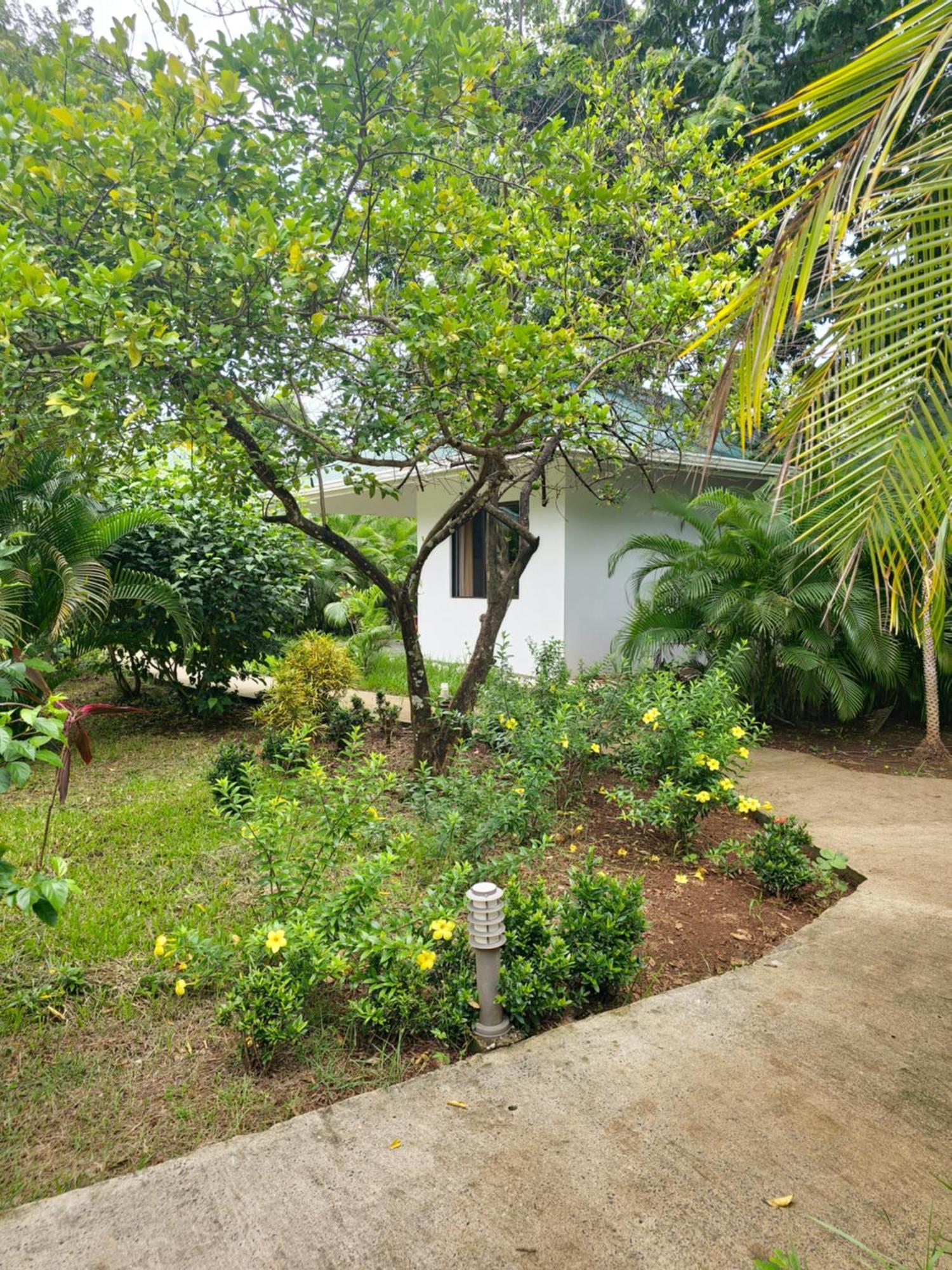 Buddha Retreat Hotel San Juanillo Exterior foto