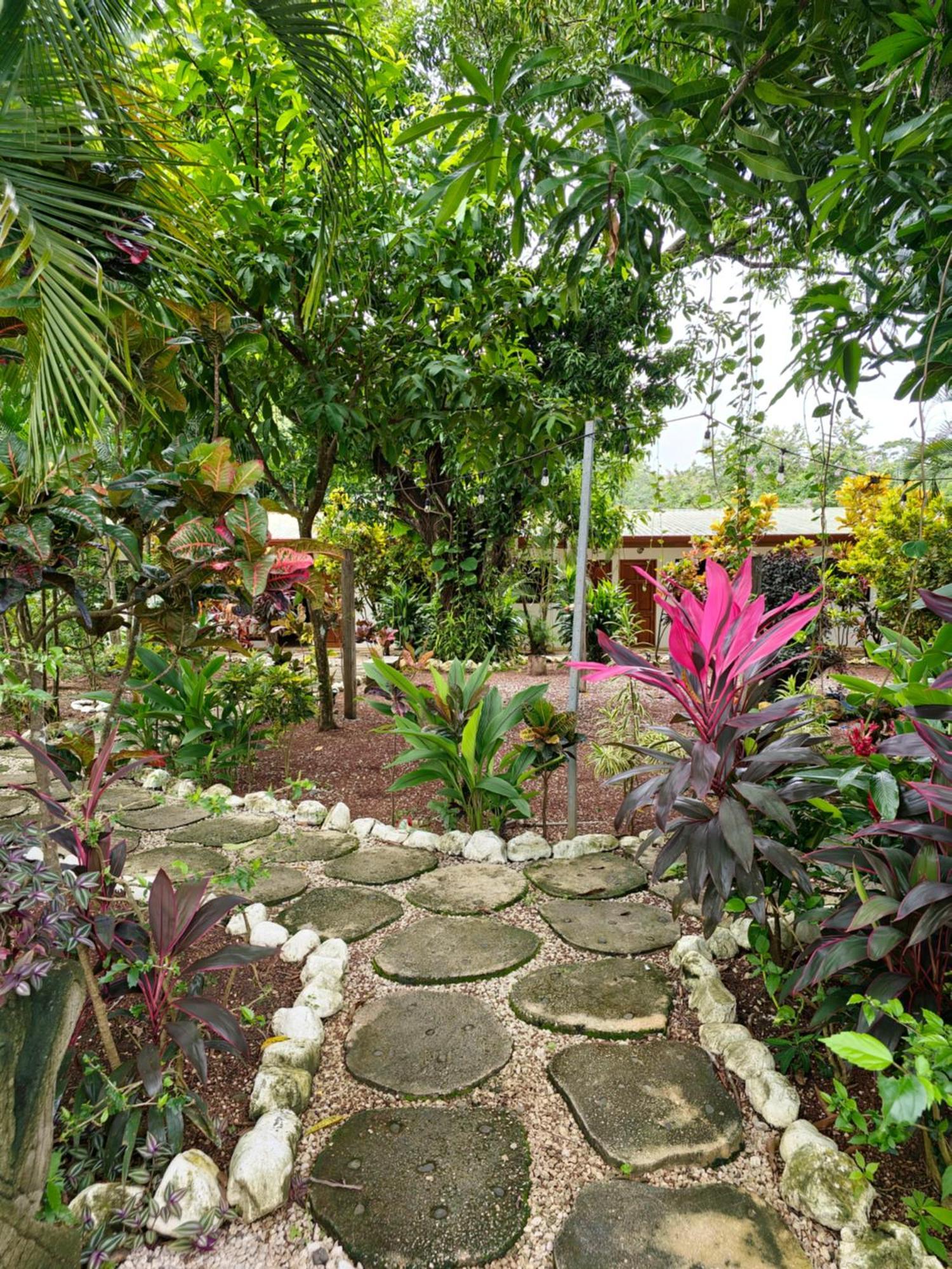Buddha Retreat Hotel San Juanillo Exterior foto